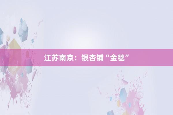 江苏南京：银杏铺“金毯”