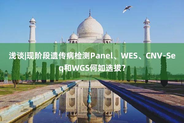 浅谈|现阶段遗传病检测Panel、WES、CNV-Seq和WGS何如选拔？