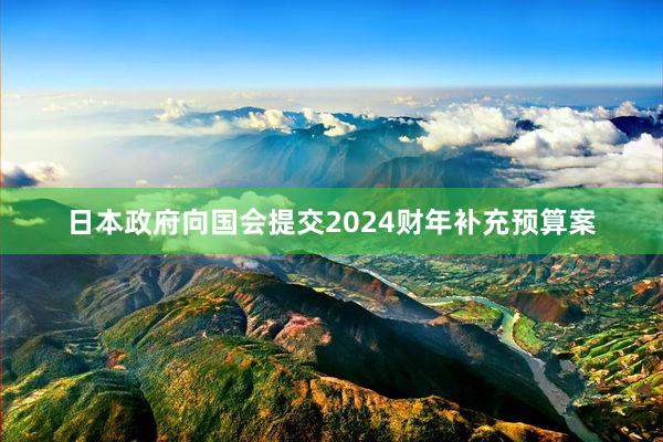 日本政府向国会提交2024财年补充预算案