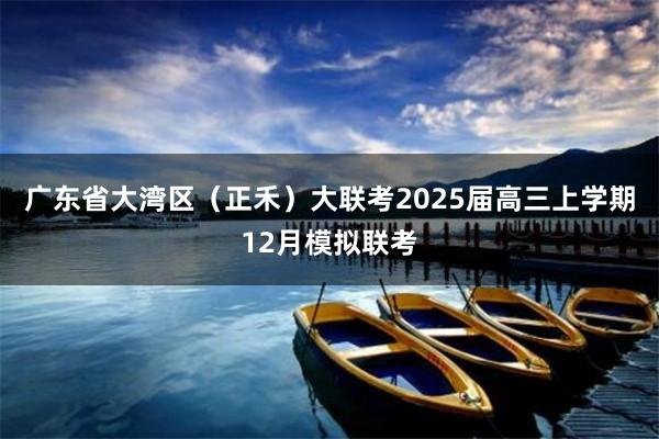 广东省大湾区（正禾）大联考2025届高三上学期12月模拟联考