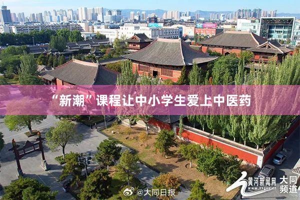 “新潮”课程让中小学生爱上中医药